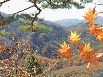 3男子泰山山顶呼呼大睡错过看日出,男子爬完泰山