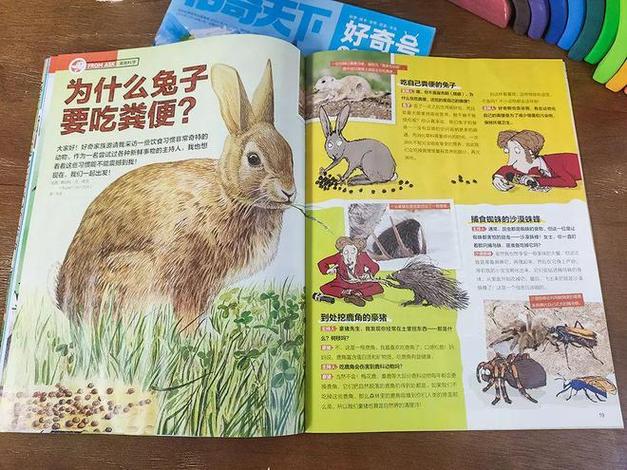 今日特码科普！国家体育期刊,百科词条爱好_2024最快更新